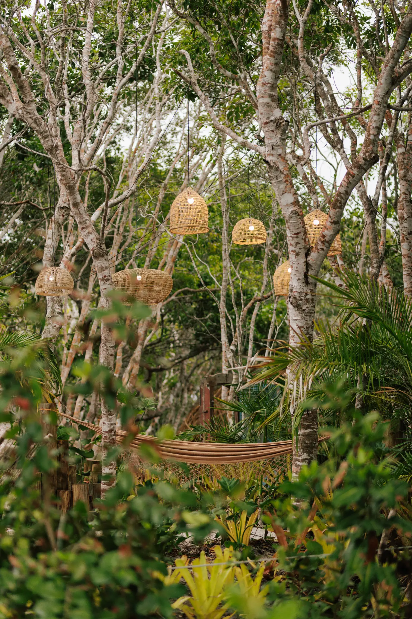 Regenerative Landscape Design